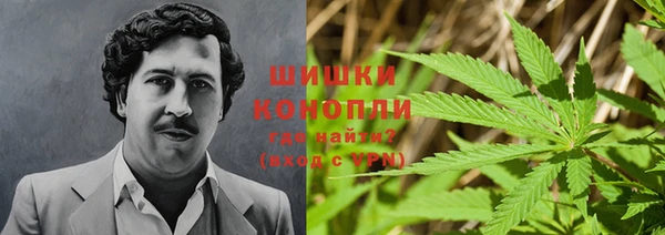 spice Абинск