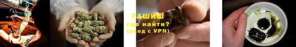 мдпв Долгопрудный