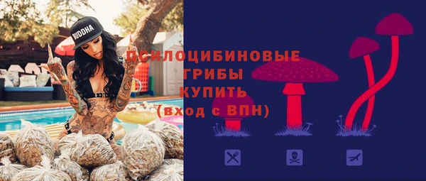 прущие крисы Абаза