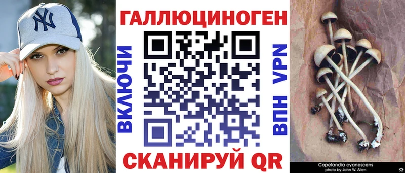 гидра как зайти  Дальнереченск  Галлюциногенные грибы ЛСД 